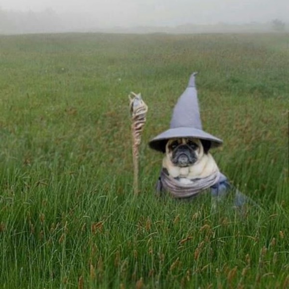 Meet your Posher, M - Picture 1 of 1